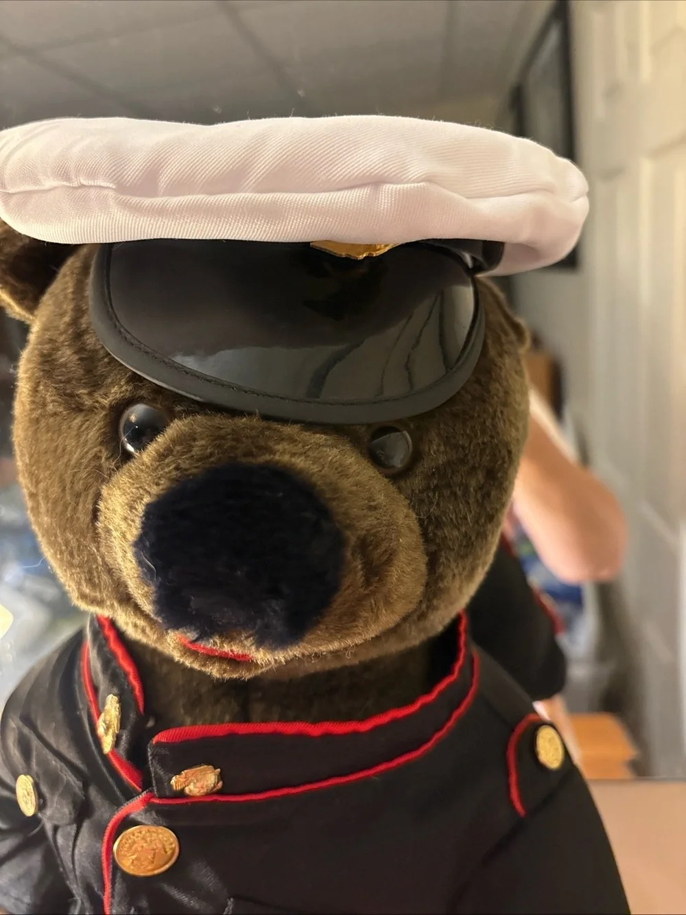 Plush Bear in Black Marine Jacket with Navy Pants and Red Trim